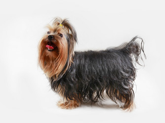 Similar image 8472897