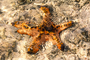 Similar image 8472911