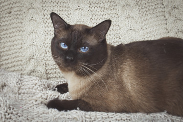 Similar image 8472914