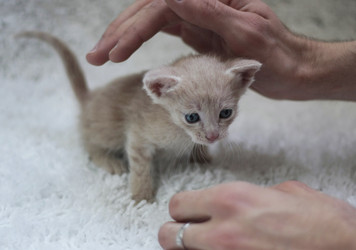 Similar image 8472915