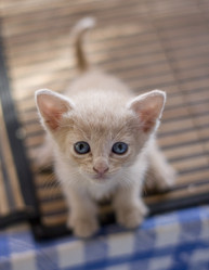 Similar image 8472916