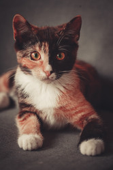 Similar image 8472917