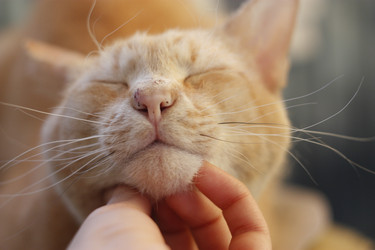 Similar image 8472921