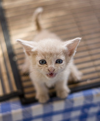 Similar image 8472922