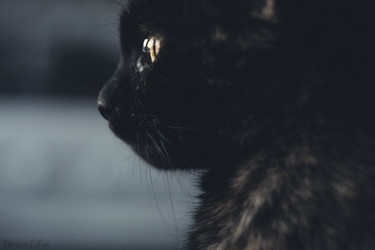 Similar image 8472923