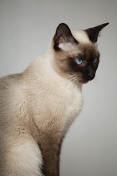 Similar image 8472928