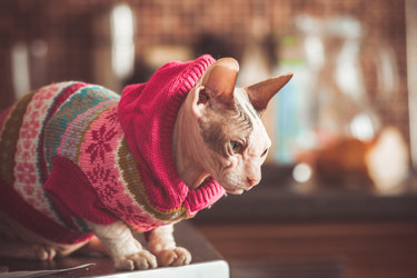 Similar image 8472929