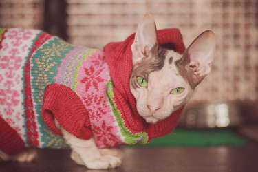 Similar image 8472930