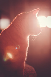 Similar image 8472931