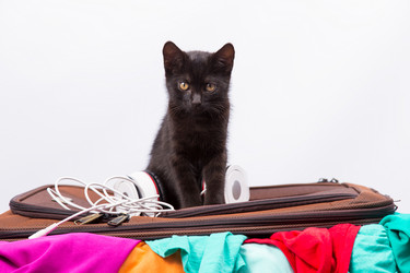 Similar image 8472978