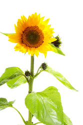 Similar image 8473094