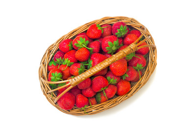 Similar image 8473352