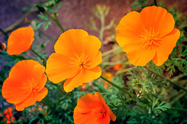 Similar image 8473366