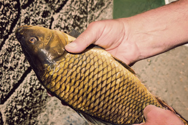 Similar image 8473384