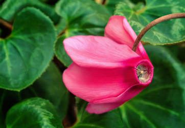 Similar image 8473393