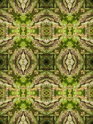 Similar image 8473433