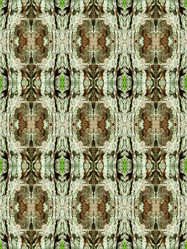 Similar image 8473442