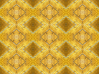 Similar image 8473513