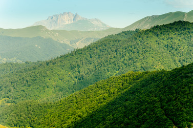 Similar image 8473537