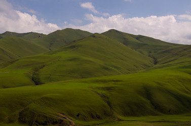 Similar image 8473540