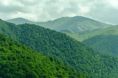 Similar image 8473553