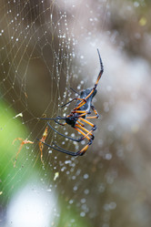 Similar image 8473671