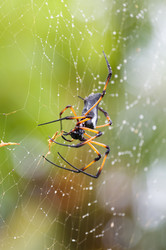 Similar image 8473672