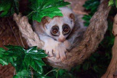 Similar image 8473818