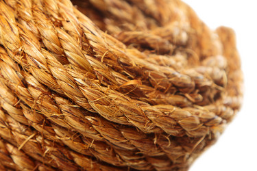 Similar image 8474057