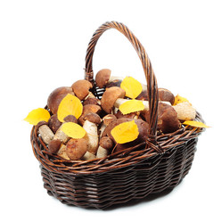 Similar image 8474078