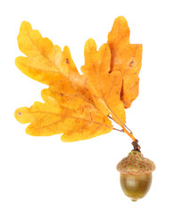 Similar image 8474079