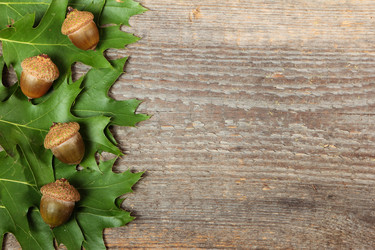 Similar image 8474080