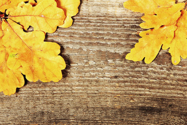 Similar image 8474082