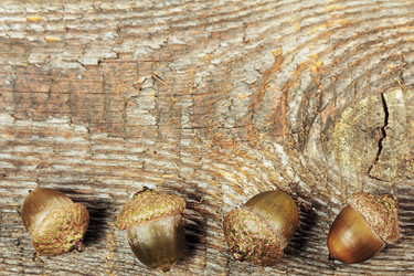 Similar image 8474083