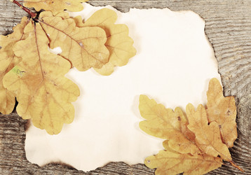 Similar image 8474095