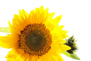 Similar image 8474096