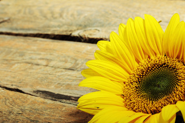 Similar image 8474099