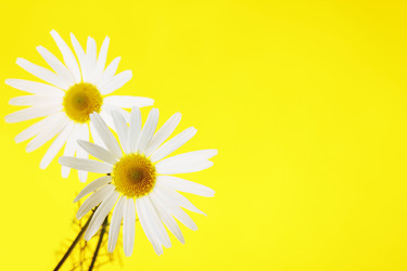 Similar image 8474102