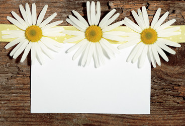 Similar image 8474103