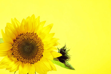 Similar image 8474104