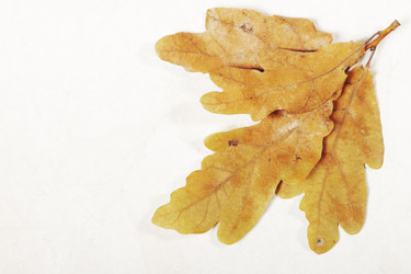 Similar image 8474108