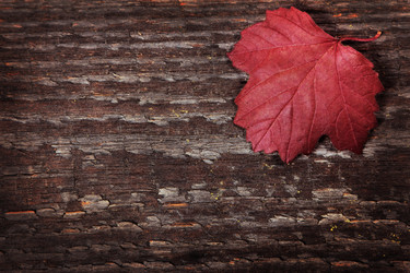 Similar image 8474109