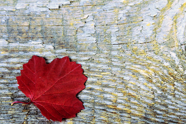 Similar image 8474110