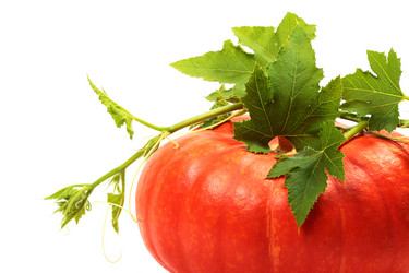 Similar image 8474112