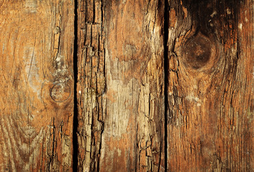 Similar image 8474114