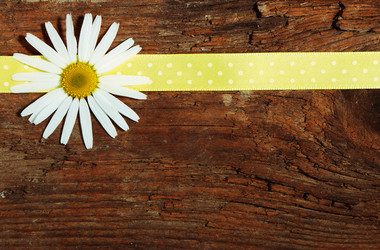 Similar image 8474126