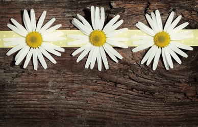 Similar image 8474130