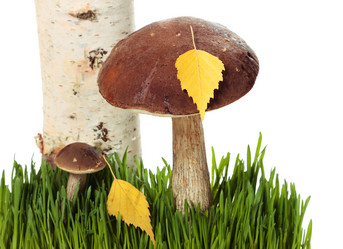 Similar image 8474131