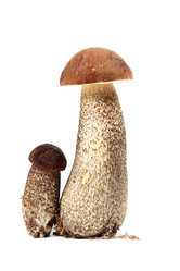 Similar image 8474137