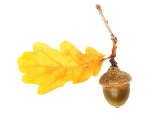 Similar image 8474138